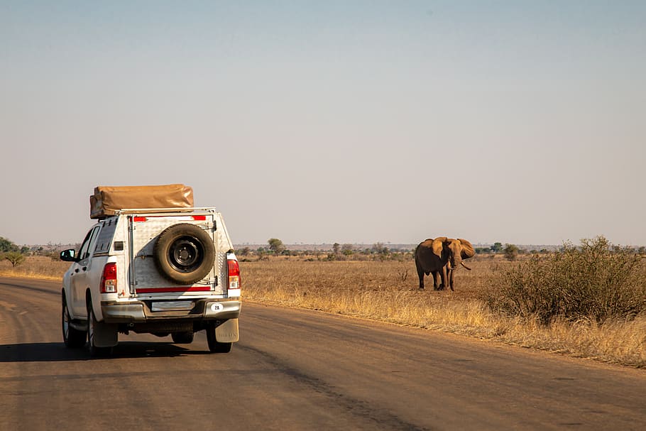 road trip en namibie